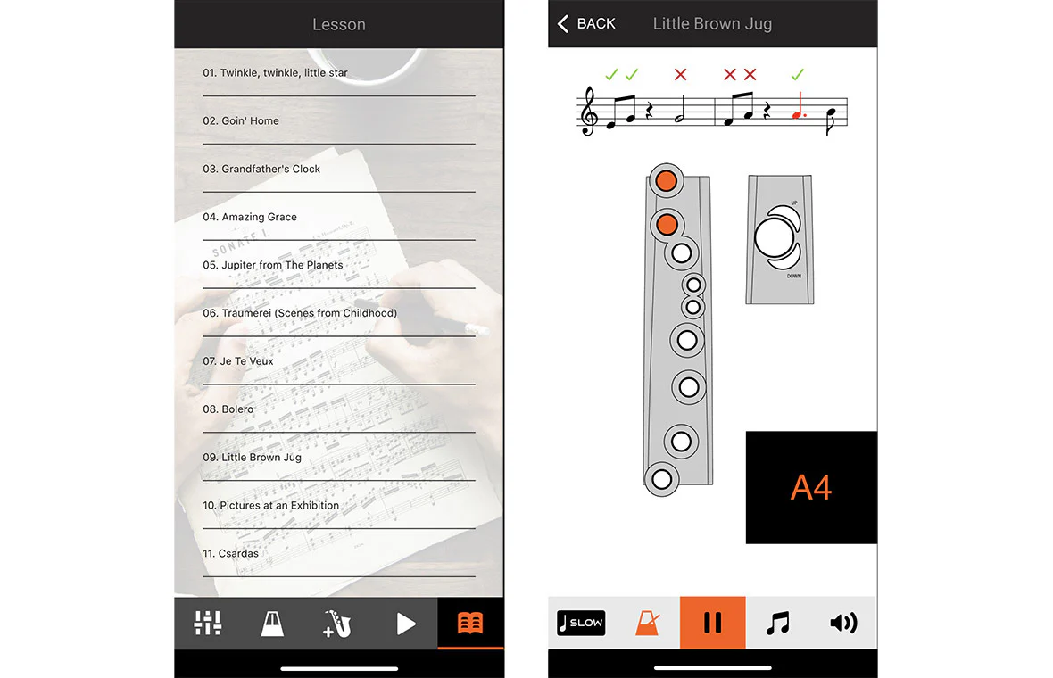 Aerophone Roland AE-01 - Image 8