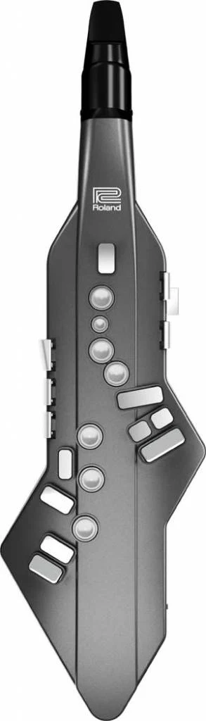 Aerophone Roland AE-05 - Image 2