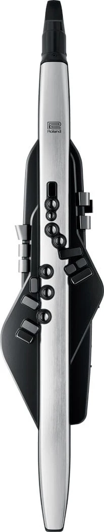 Roland - Aerophone Pro AE-30