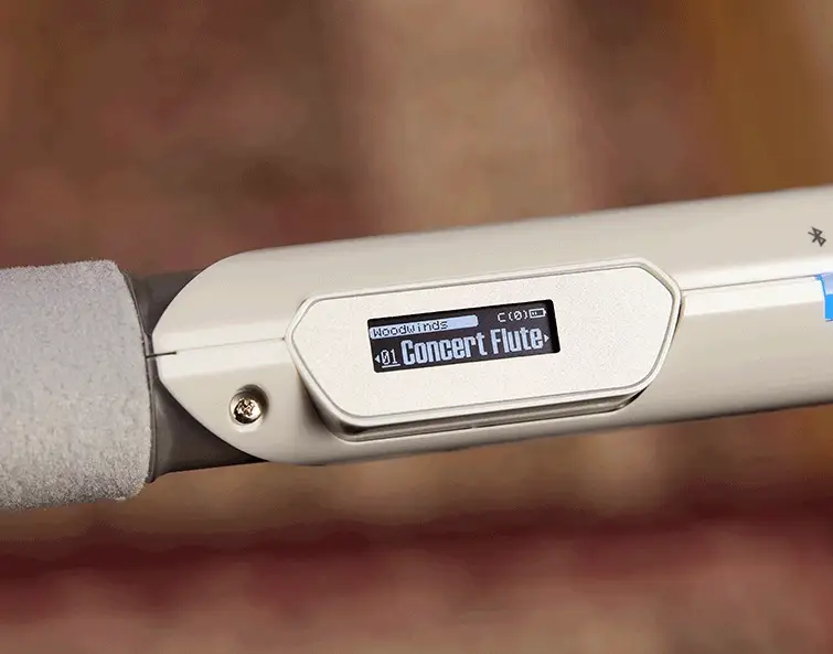 Aerophone Brisa - Image 15