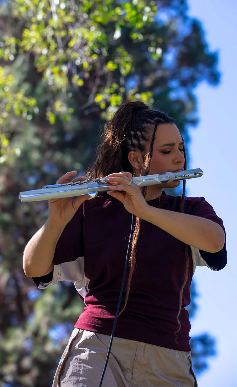 Aerophone Brisa - Image 16
