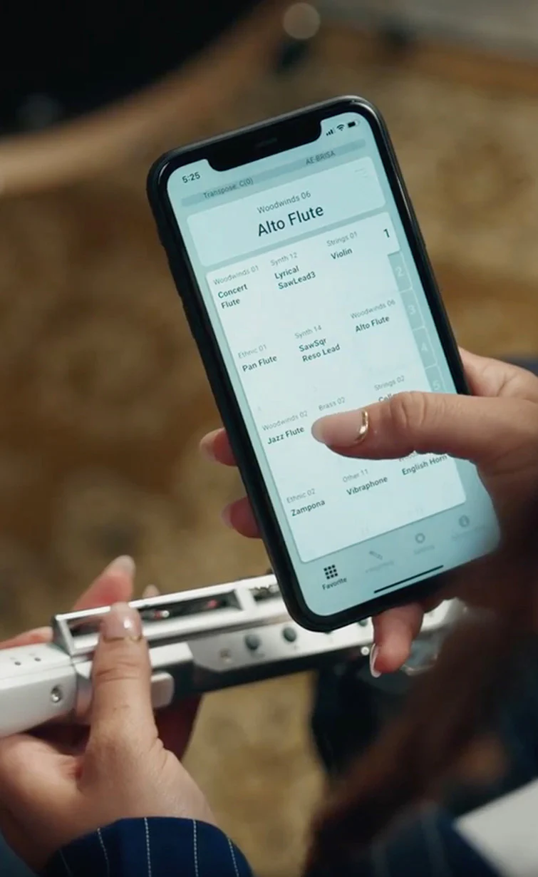 Aerophone Brisa - Image 20