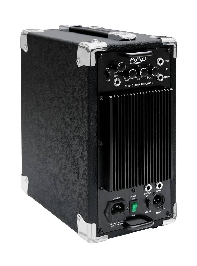 Phil Jones CUB AG-100 Acoustic Guitar Amplifier - Image 3