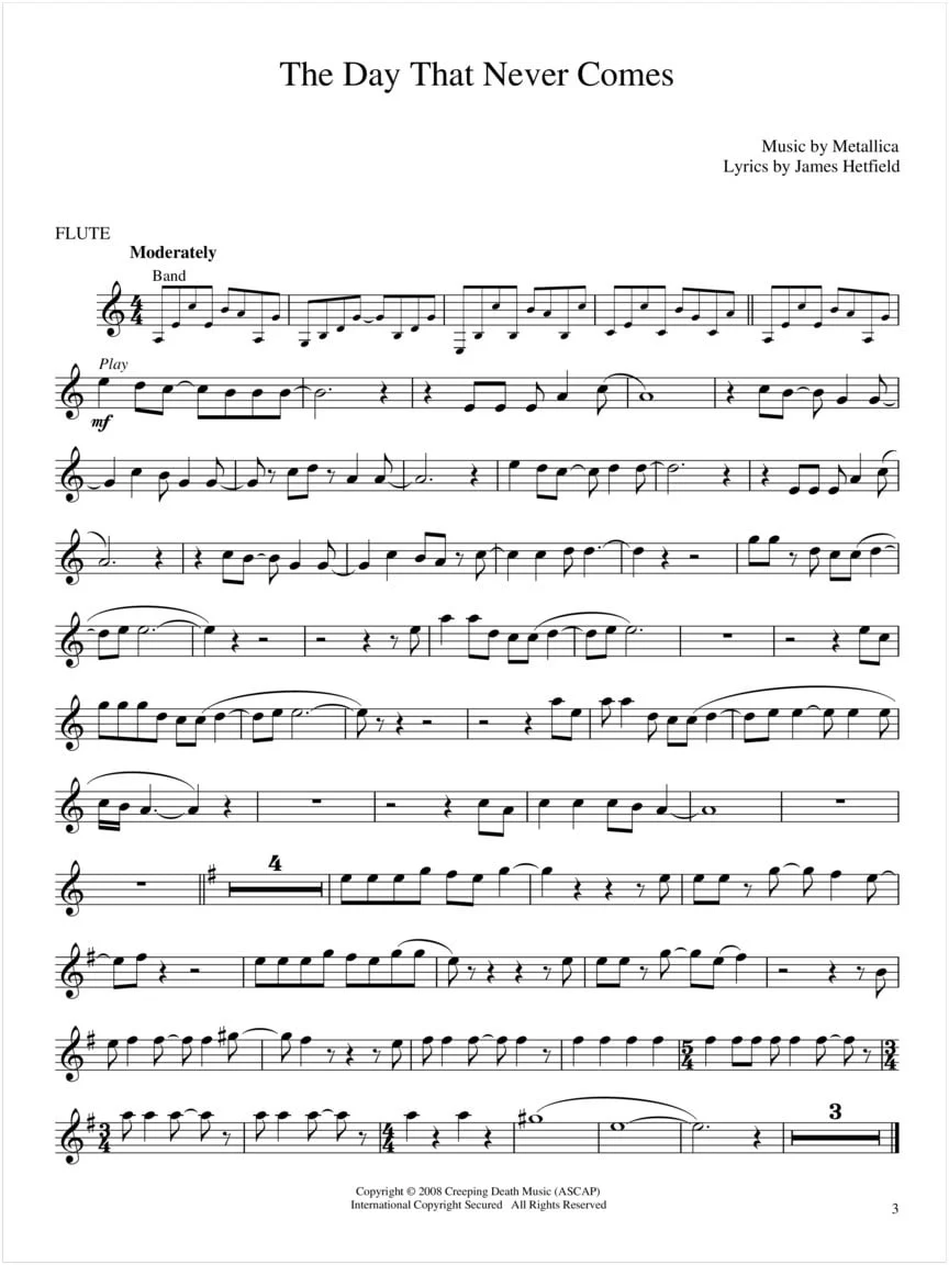 Best of Metallica, Flute - Image 3