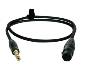 Pro Adapter Cable - Female XLR to 1/4 TRS - Image 2
