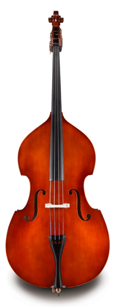 Eastman VB80 Bass - Image 4