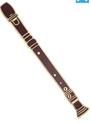 Recorder Pin