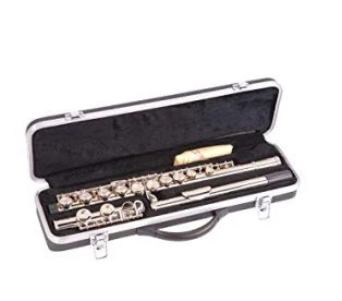 Odyssey Flute Case