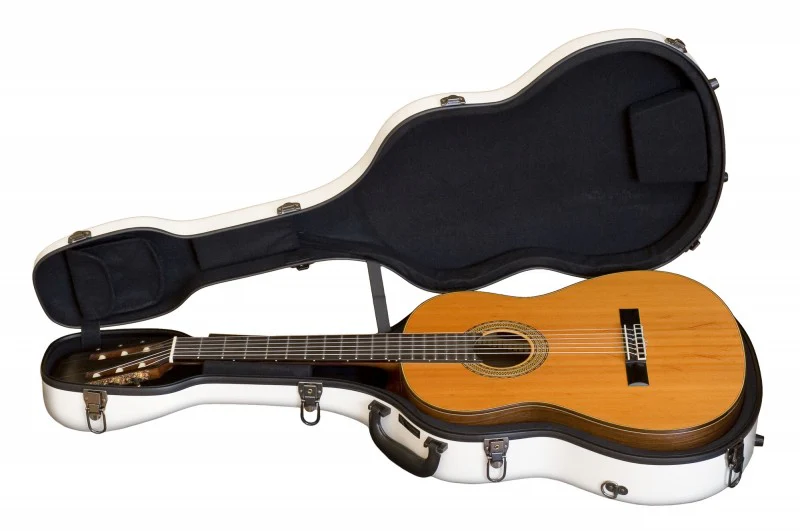 Eastman JWE Classical Guitar Case - Image 5