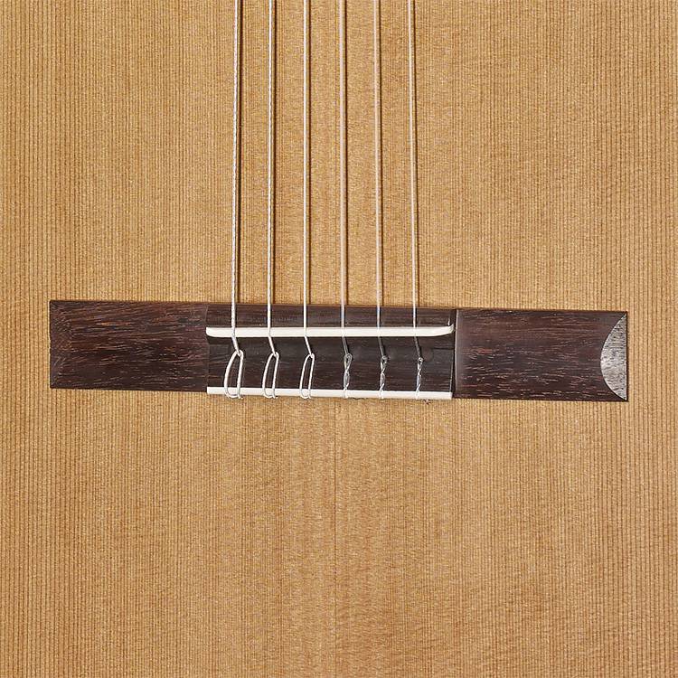 Hanika 50PC Classical Guitar - Image 4