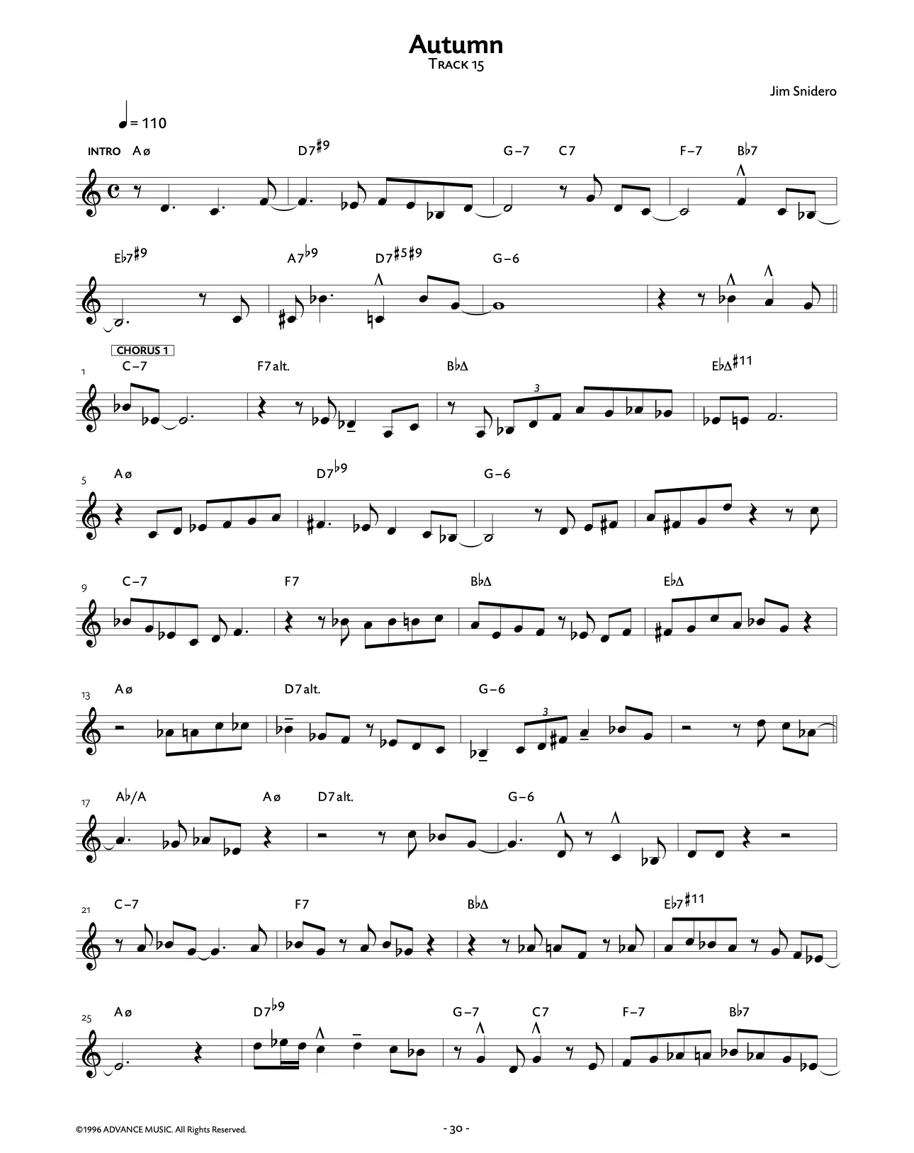 Jazz Conception, Electric Guitar - Image 7