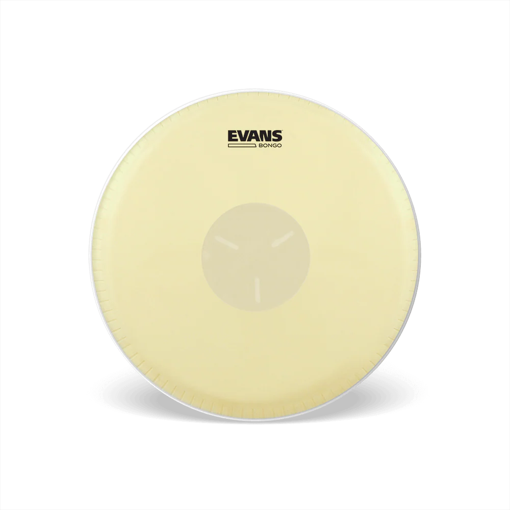 Evans 7 & 1/4'' Bongo Head