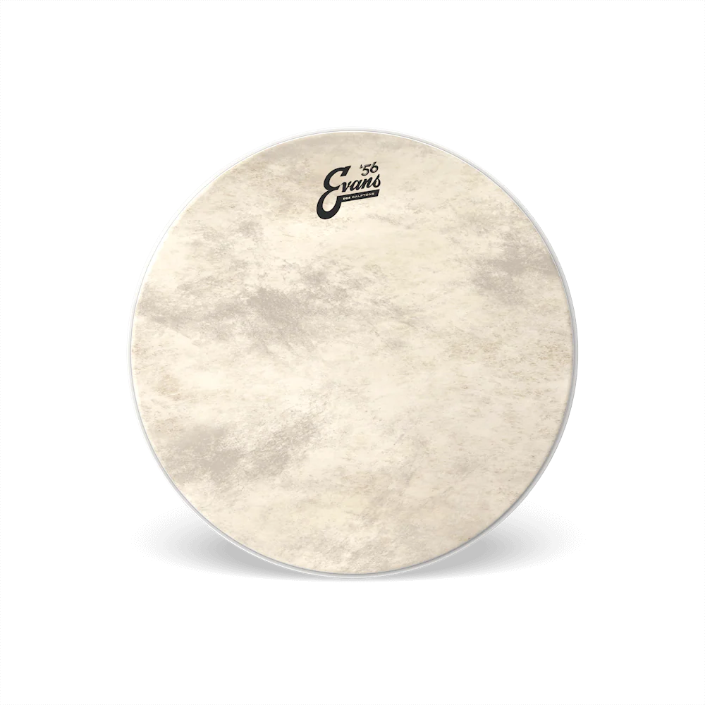 Evans Calftone EQ4 Bass Drum Head - Image 2