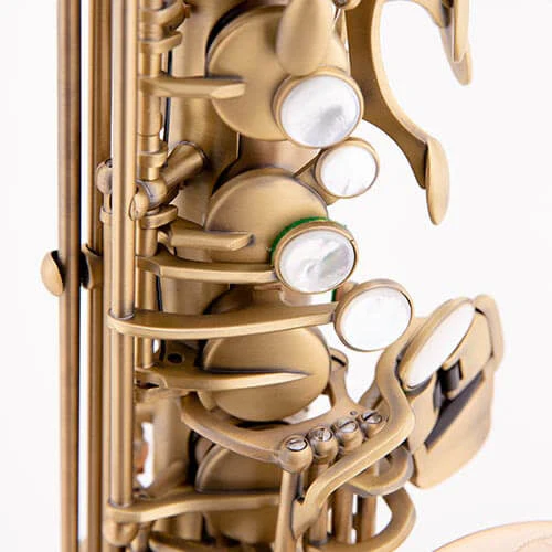 Carrera Alto Saxophone - Matte Finish - Image 4