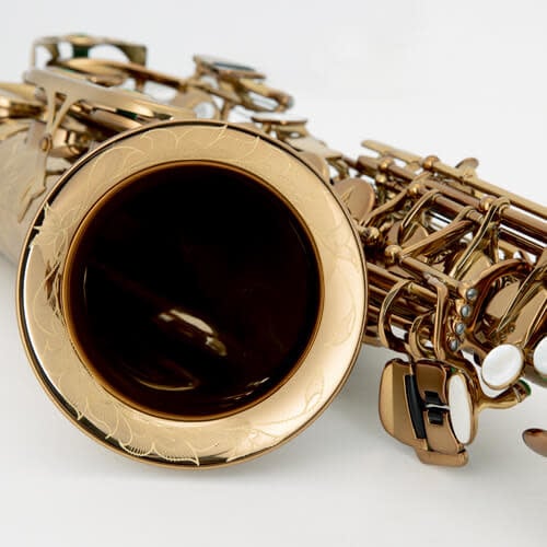 Carrera Alto Saxophone - Dark Lacquered - Image 2