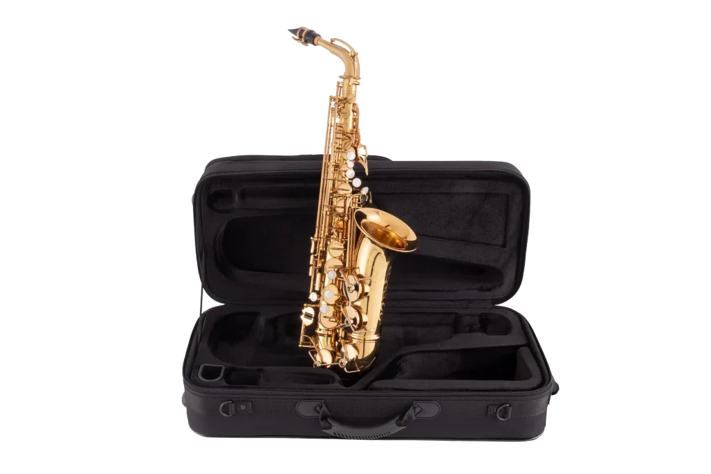 Saxophone Alto Conn CAS411DL - Image 6