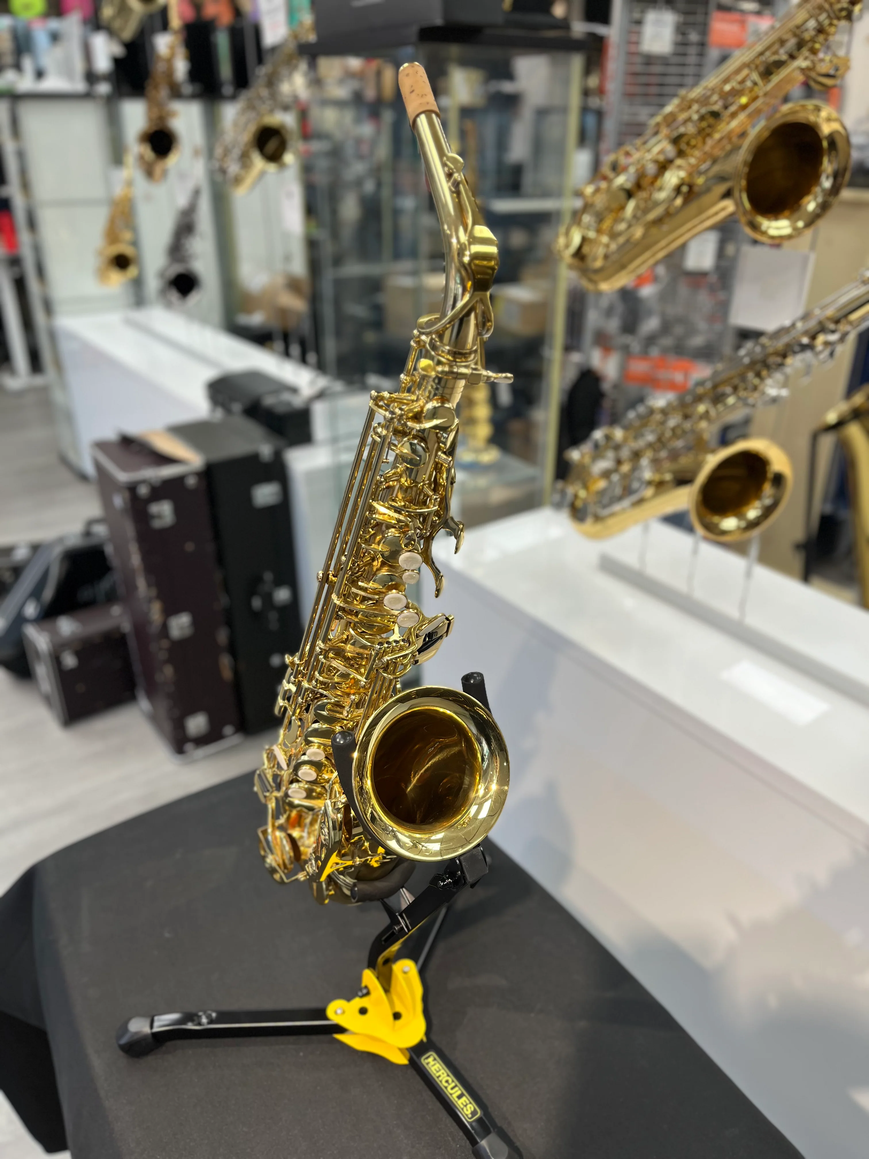 Pre-Owned Eldorado Alto Saxophone - Image 2