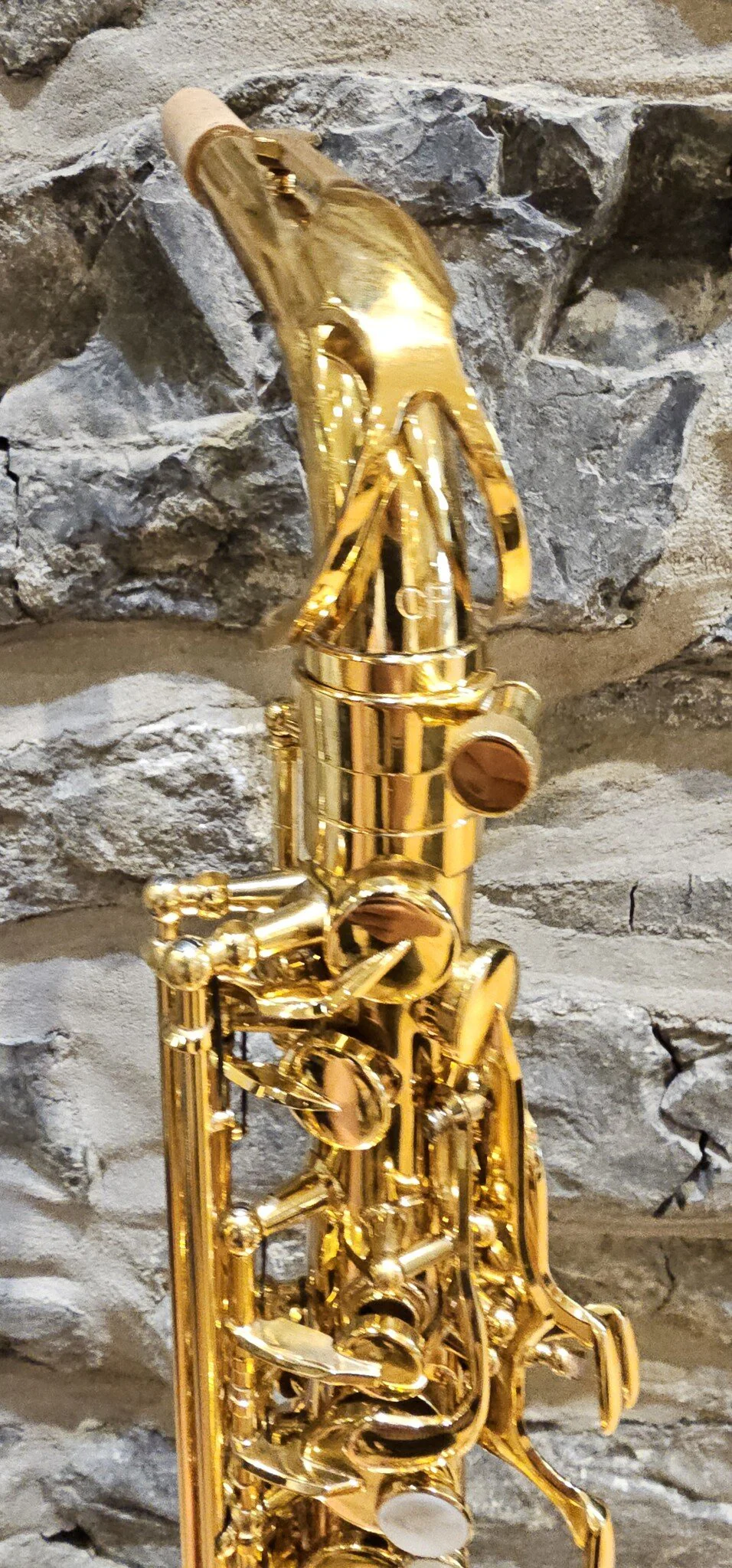 Twigg PT-333 Alto Saxophone - Image 3