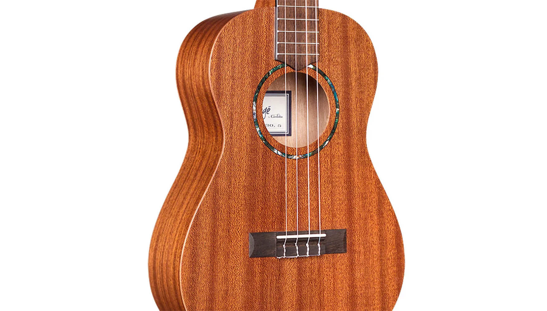 Ukulélé Baryton Cordoba U1B - Image 5