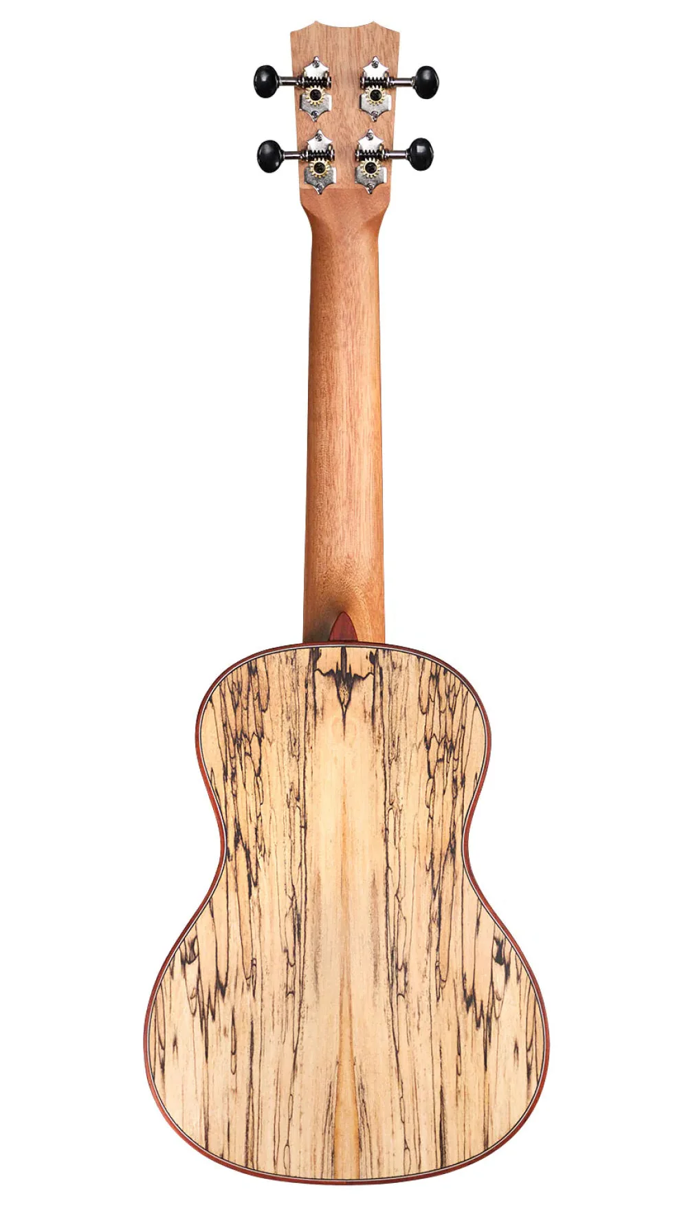 Cordoba 24C Concert Ukulele - Image 2