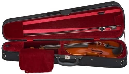 Samuel Eastman VL80 Violin - Image 7