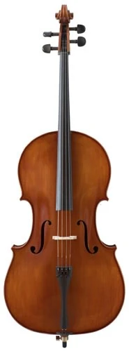 S. Eastman VC100 Cello Outfit - Image 6